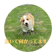 aoi_20210825201522