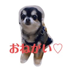 arisa_20210826102653