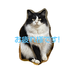 ayumi_20210825215132