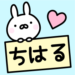 Cute Rabbit "Chiharu"