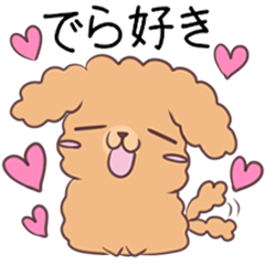 Toy poodle of Nagoya dialect 4