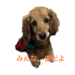 aoi_20210825171801