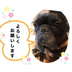 yuka_20210825231517