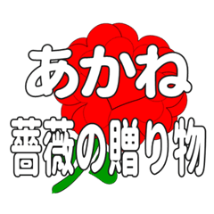 あかねに送るハートのバラ