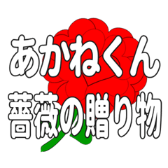 あかねくんに送るハートのバラ