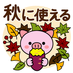Autumn of Pig