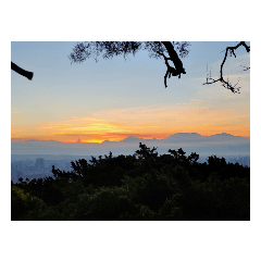 我真的不知道wee