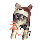 chanmugi!!1