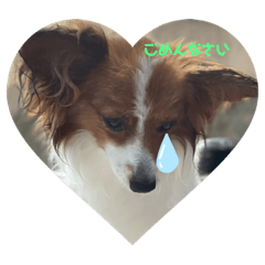 kazuki_20210826131100