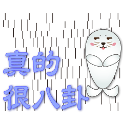 Cute seals practical greetings