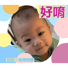宸總の日常用語