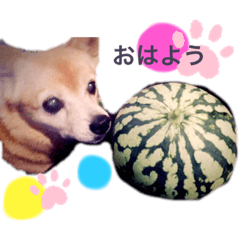 Mimi_20210826093712