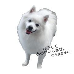 MIZUKI_20210826004230