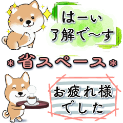 Space-saving dog (Shiba Inu edition)