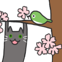 Good friends cats and birds