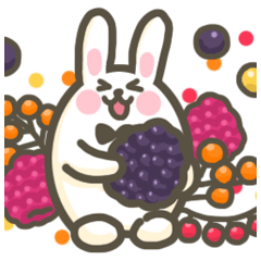 little rabbit berry harvest time