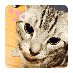 Nozomi_20210826175136