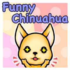 Funny Chihuahua 1