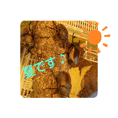 tomomi_20210826163306