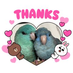 cherry_20210826054709