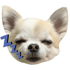 chibi_20210826150305
