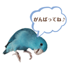 natsumi_20210826162313