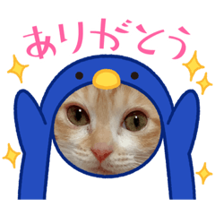 YUKARI_20210826140550