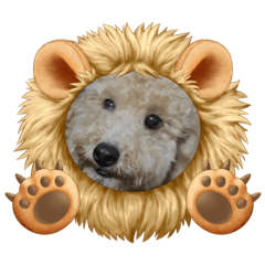 MIZUKI_20210826195218