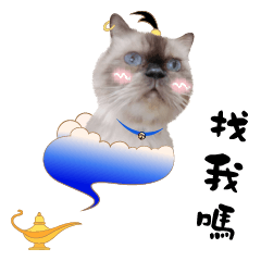 小米駕到-求包養