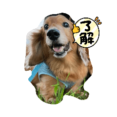 risa_20210826114606