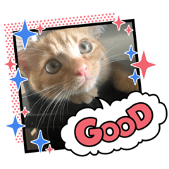 saori_20210826205900