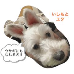 azu_20210826205616