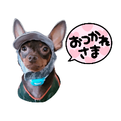 yuka_20210826205139