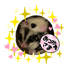 hikari_20210826215143