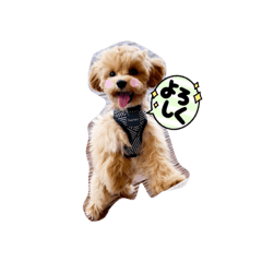 Ayumi_20210826223406