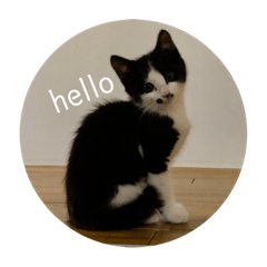 shiono-gumi_20210826225650