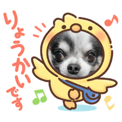 hana_20210826230927