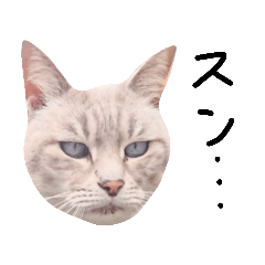 A sticker of my cat Pan