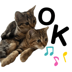 Himawari_20210827023831