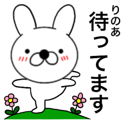 Name rabbit Rinoa