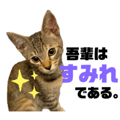 chihiro_20210826191357