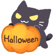 Halloween Cat !