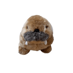 matsu_20210826202817