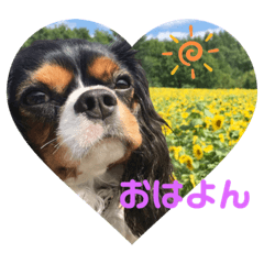 Toranosuke_20210826204319