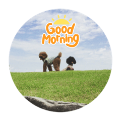 Mizuki_20210826184448