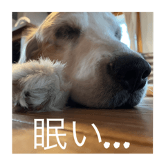 ACE_20210826210431
