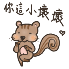 The crazy&funny&cute squirrel