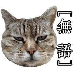 這是波比咪咪傑克小菲