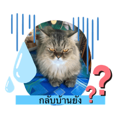 Mano_20210825231245