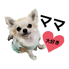 KIKIdogstamps